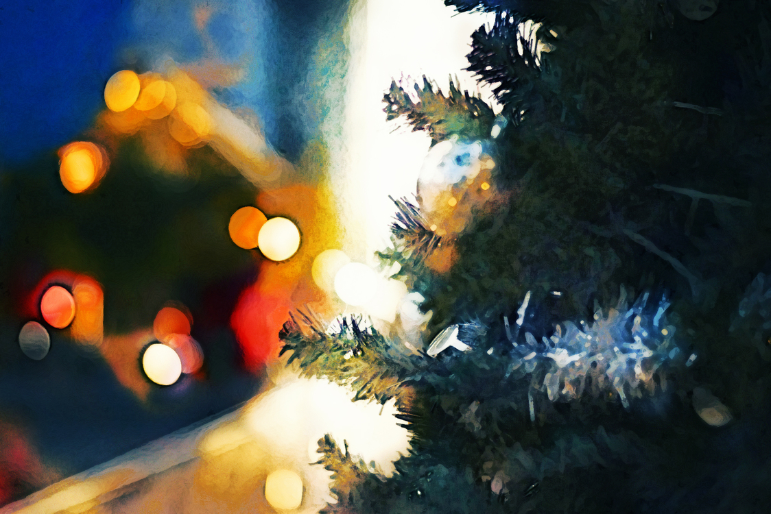 Tree,Christmas Tree,Light