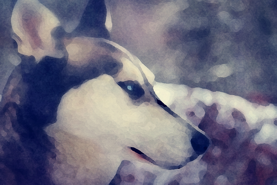 Dog,Sky,Watercolor Paint