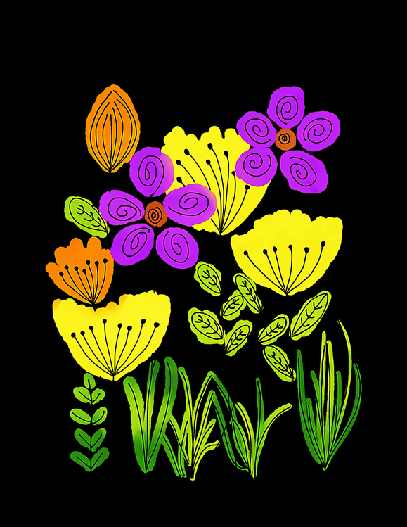 Flower,Plant,Violet