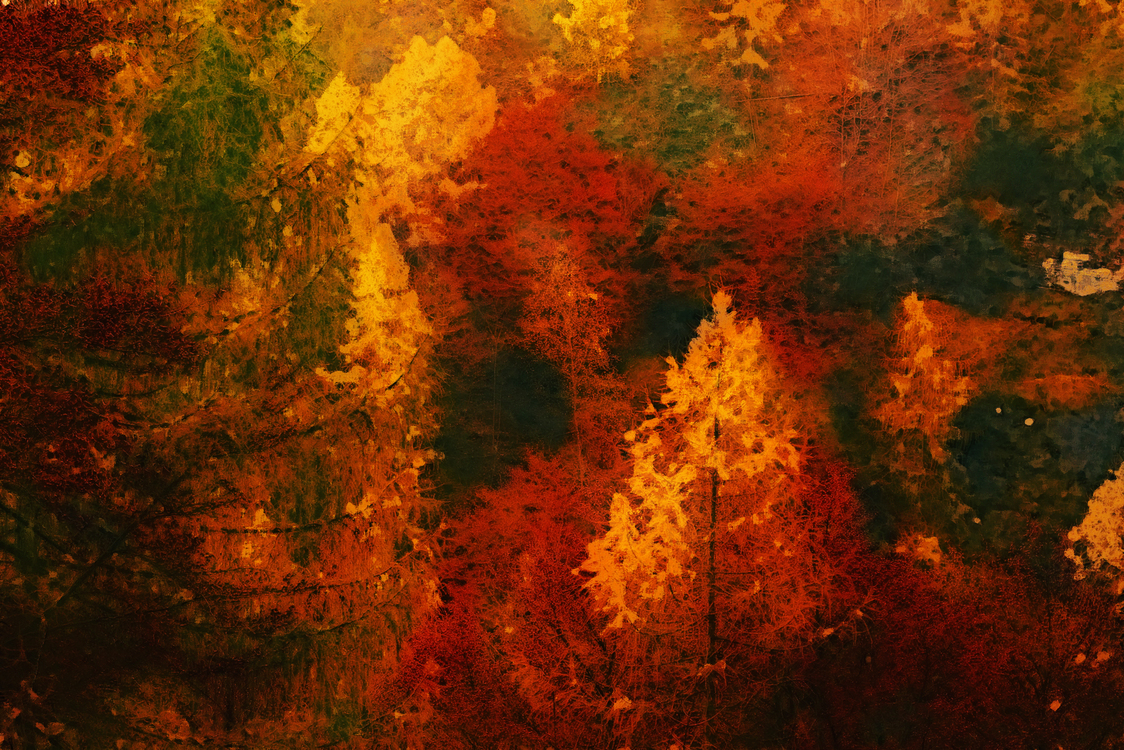 Nature,Red,Painting