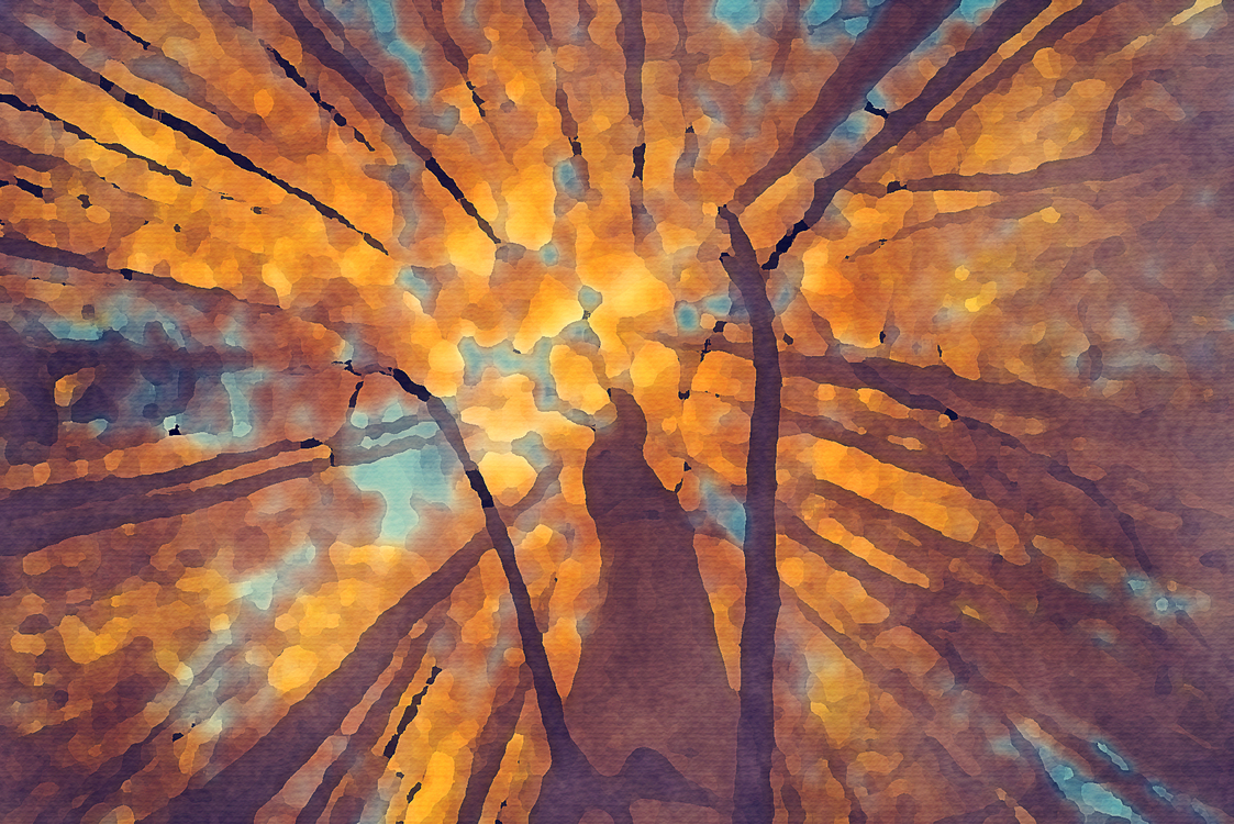 Tree,Painting,Leaf