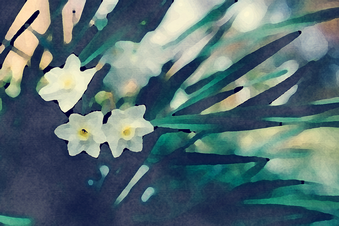 Watercolor Paint,Flower,Plant