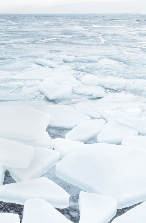 Ice,Sea Ice,Natural Environment
