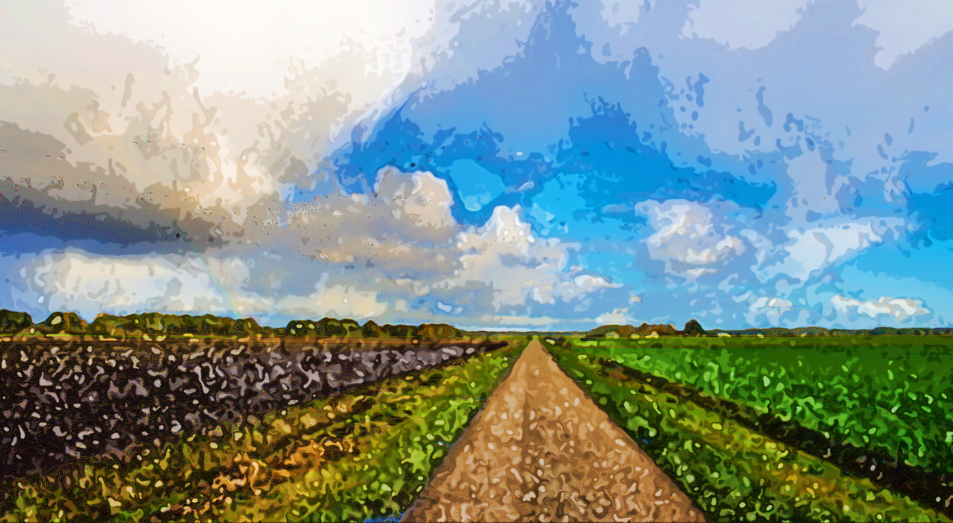 Field,Sky,Agriculture