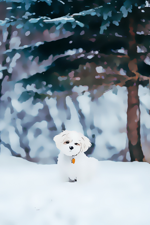 Snow,Snowman,Winter