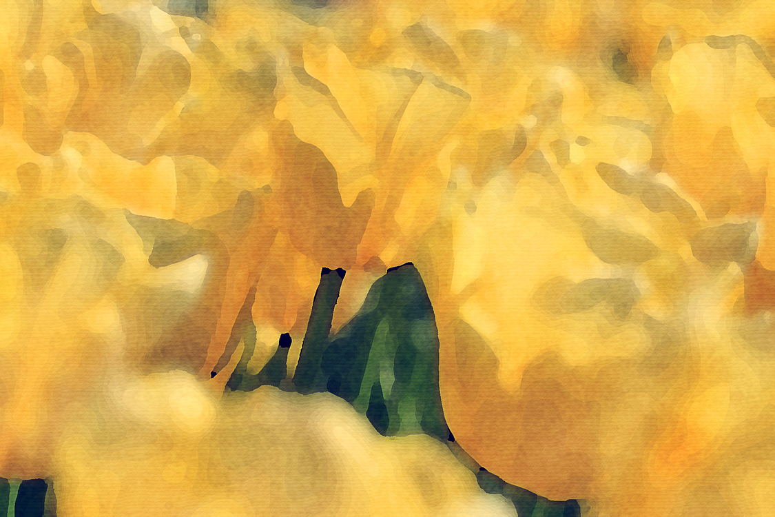 Yellow,Watercolor Paint,Painting