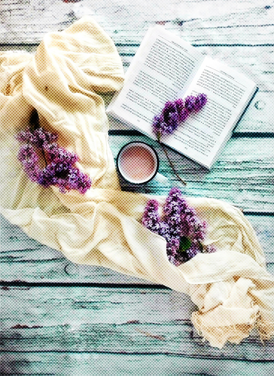 Purple,Lavender,Lilac