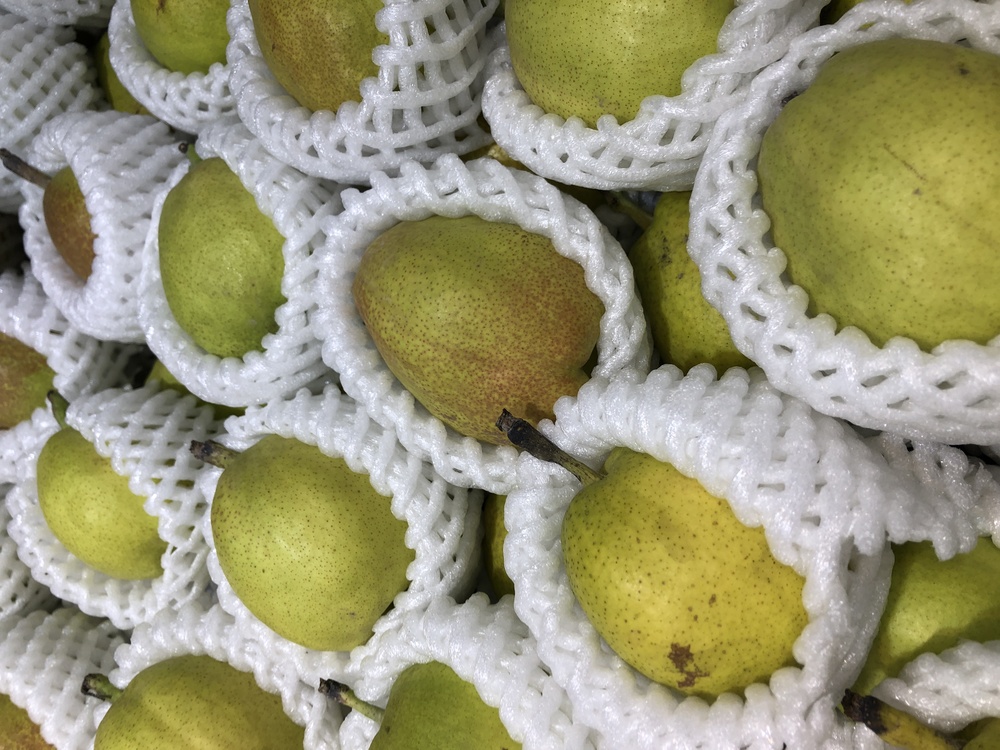 Citrus,Tennis Ball,Crochet