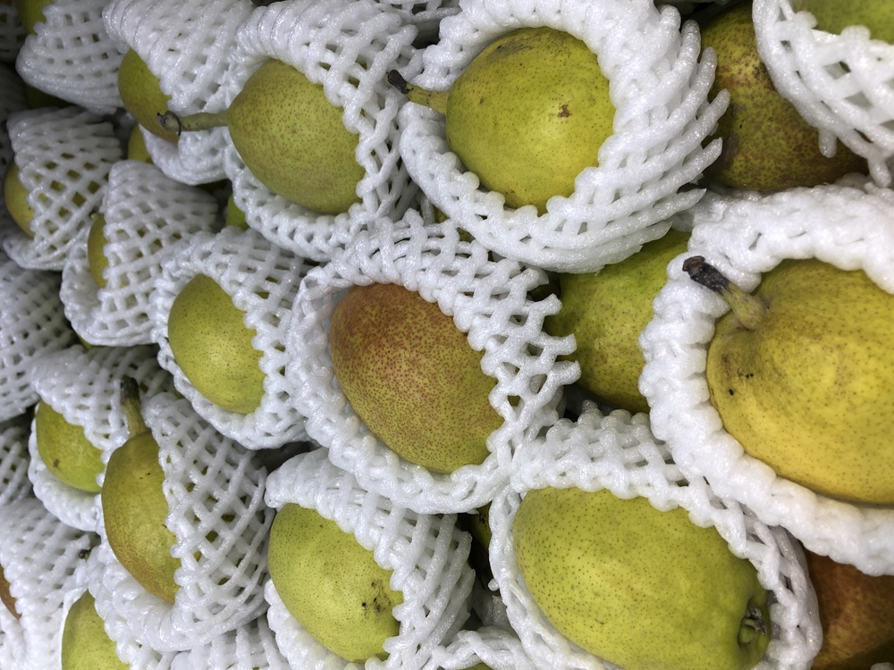 Crochet,Fruit,Others