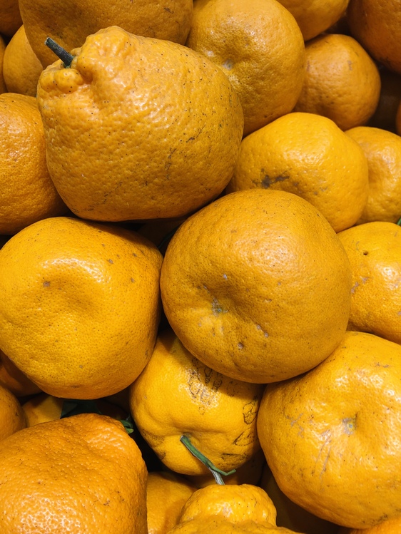 Lemon,Mandarin Orange,Bitter Orange