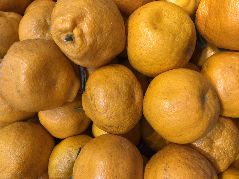 Clementine,Mandarin Orange,Lemon