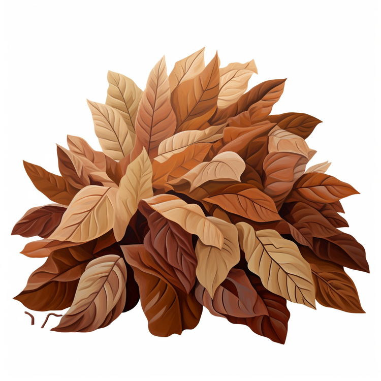 Leaf Pile,Brown Leaves,Falling