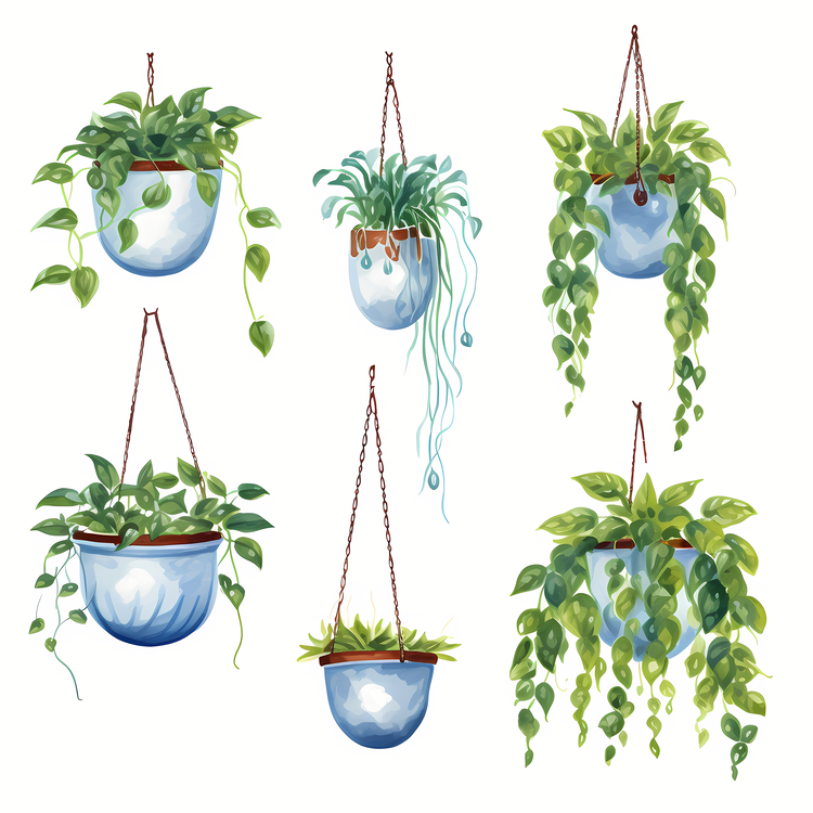 Hanging Plant With Pot,Others