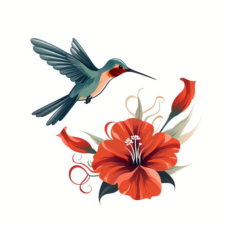 Hummingbird,Others