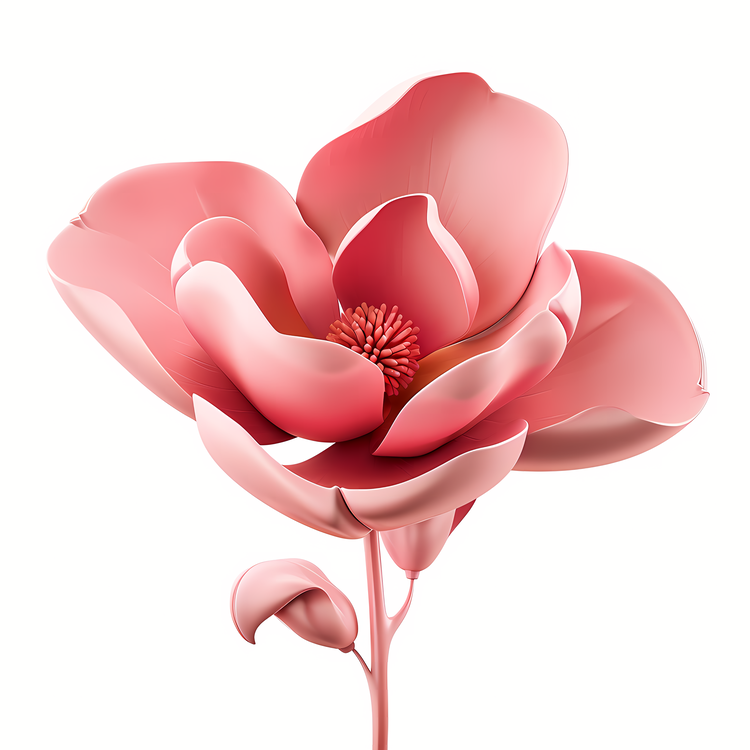 Pink Valentine Flower,Others