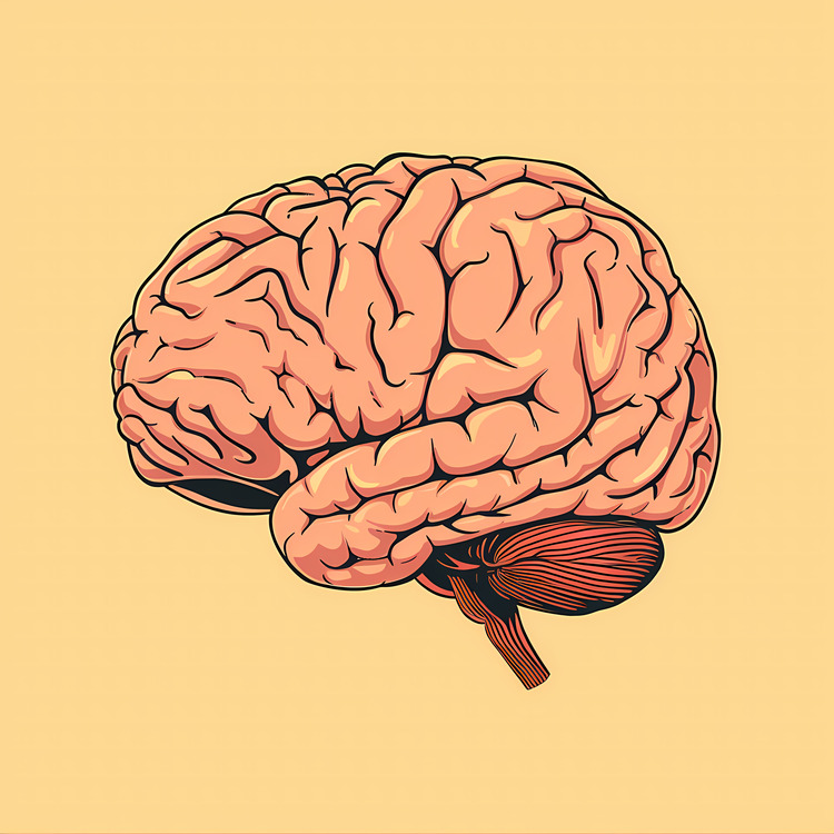 Brain Mind,Others