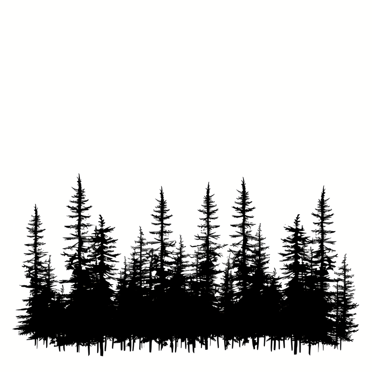 Forest Silhouette,Others