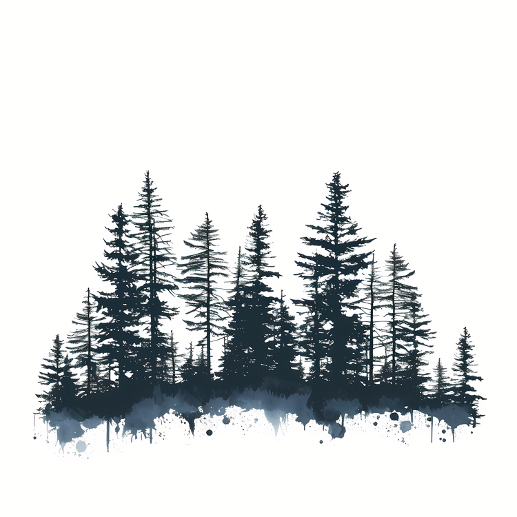 Forest Silhouette,Others