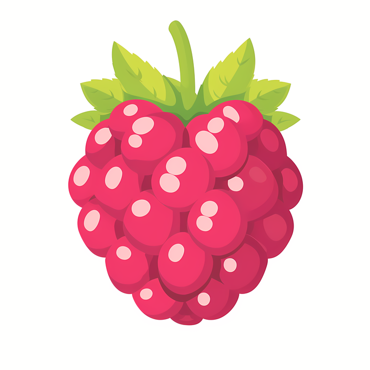 Raspberry,Red Fruit,Round Shape