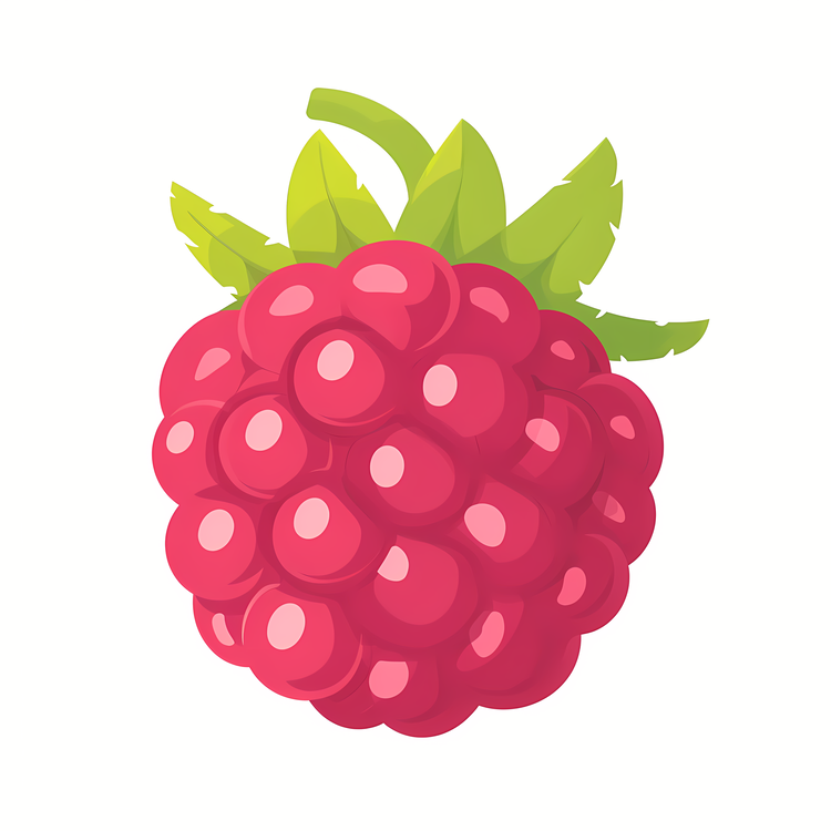 Raspberry,Fruit,Red