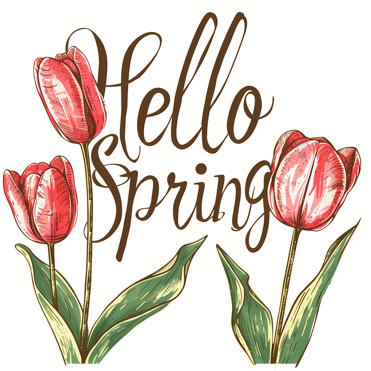 Hello Spring,Red Tulips,Floral Illustration
