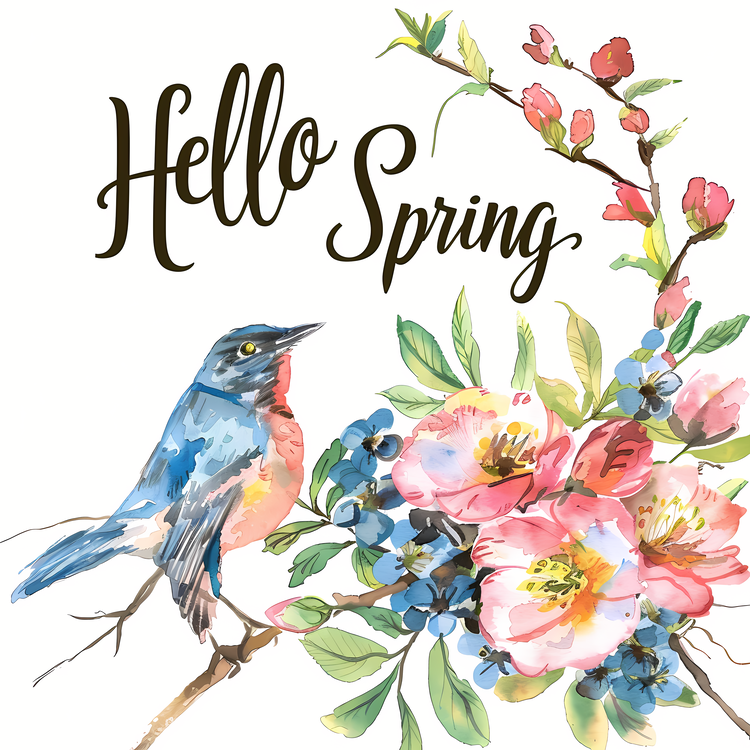Hello Spring,Spring,Bird