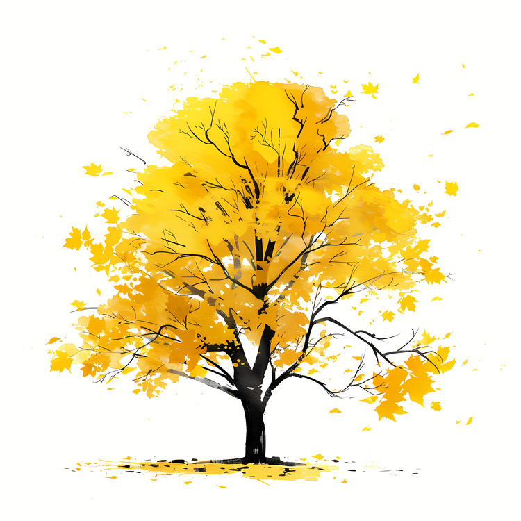 Yellow Maple Tree,Fall Foliage,Colorful Autumn Leaves