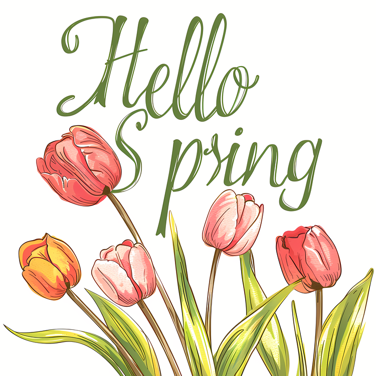 Hello Spring,Tulips,Spring
