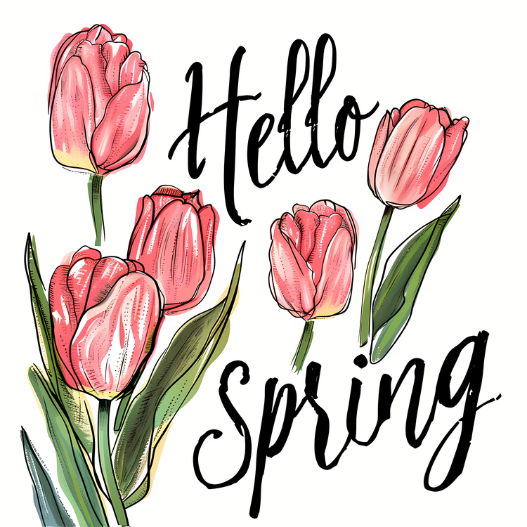 Hello Spring,Spring,Tulips