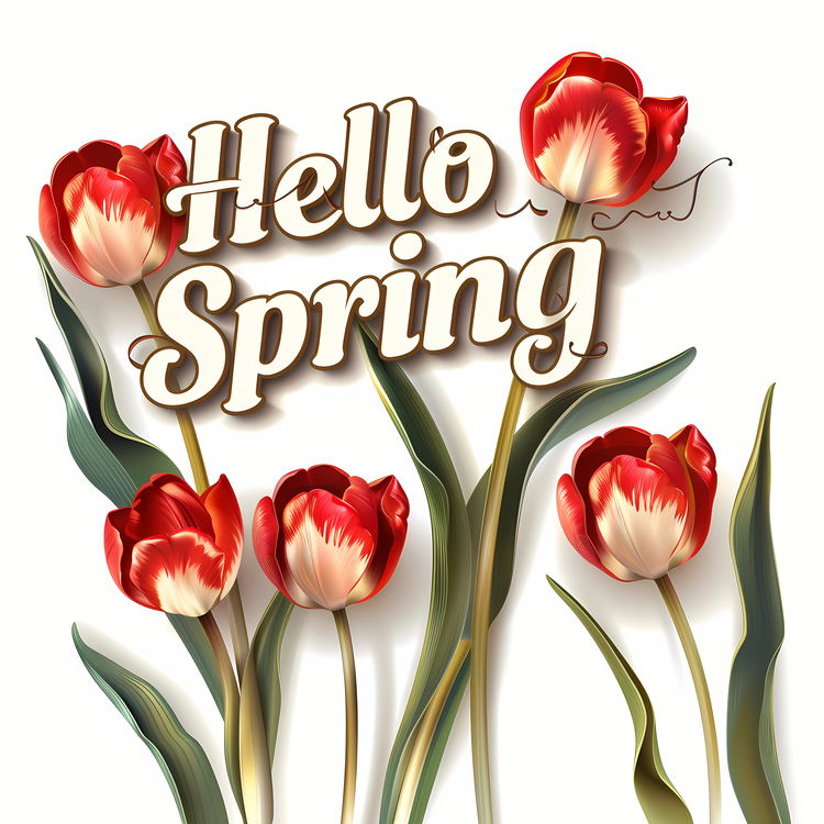 Hello Spring,Spring Tulips,Red Tulips