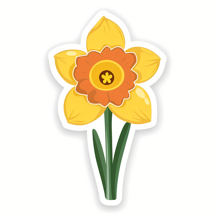 Daffodils,St Davids Day,Daffodil