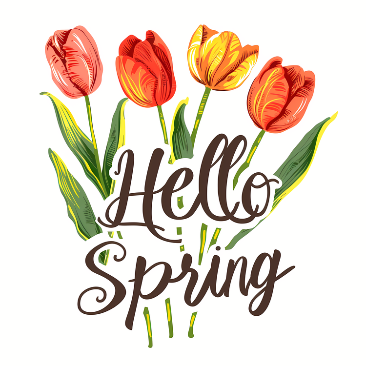 Hello Spring,Tulips,Spring Bouquet