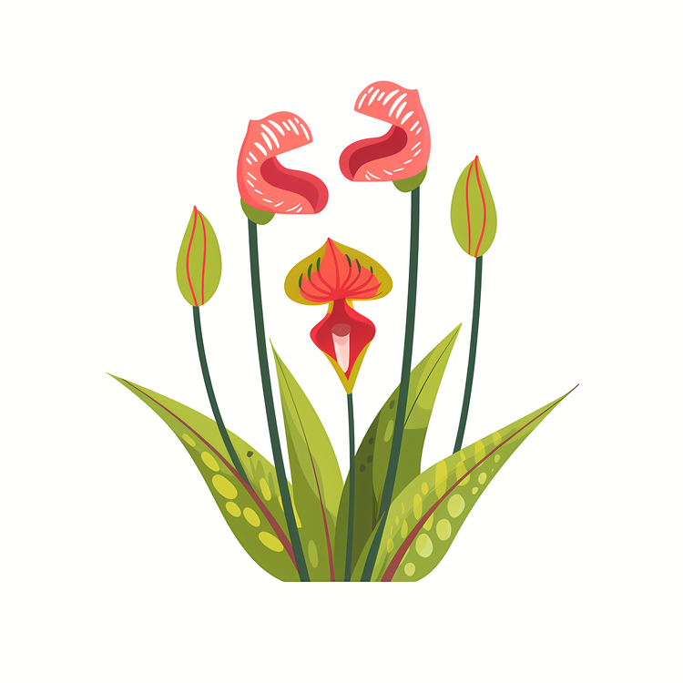Carnivorous Plant,Flower,Pink Flowers