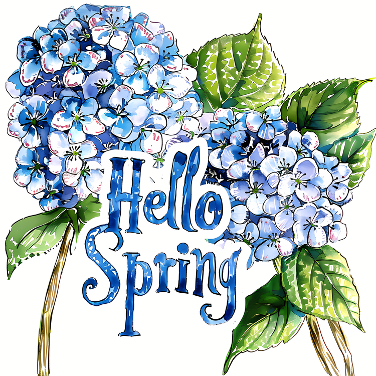 Hello Spring,Spring,Hydrangea