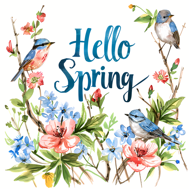 Hello Spring,Birds,Flowers