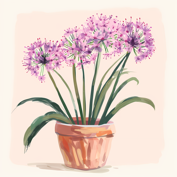 Giant Allium,Potted Flowers,On A Windowsill