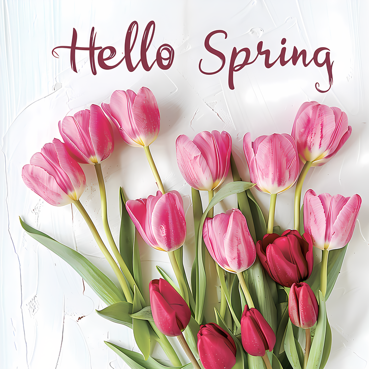 Hello Spring,Flowers,Pink Tulips