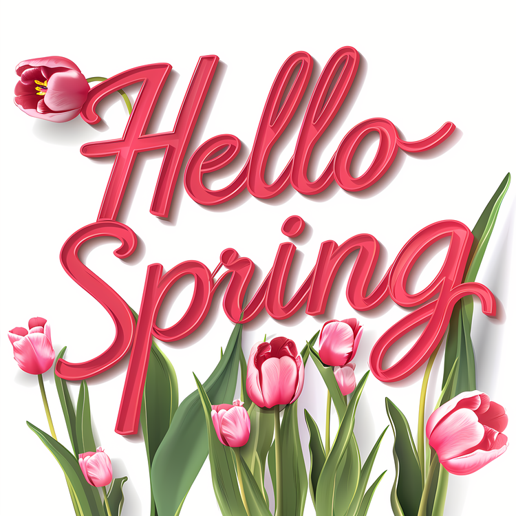 Hello Spring,Pink Tulips,Fresh Flowers