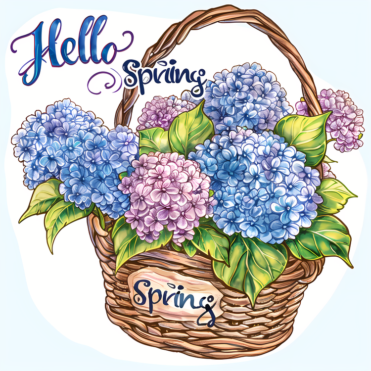 Hello Spring,Spring,Basket