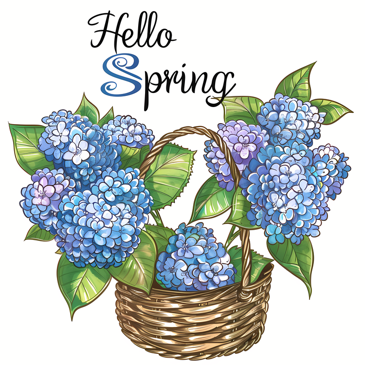 Hello Spring,Spring Flowers,Hydrangeas