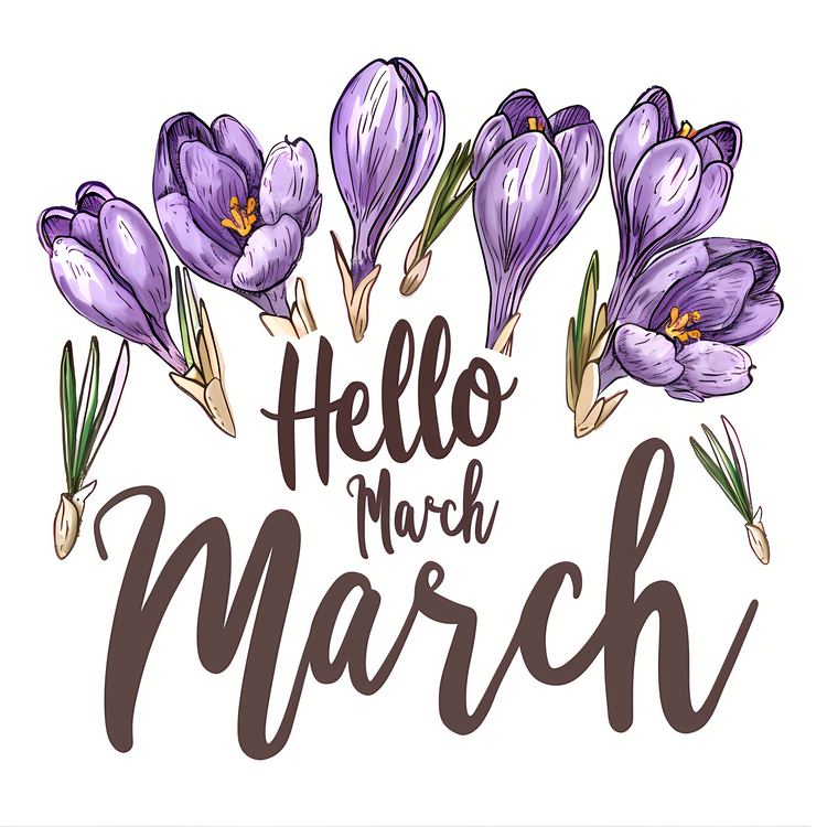 Hello March,Purple Crocuses,March Flower