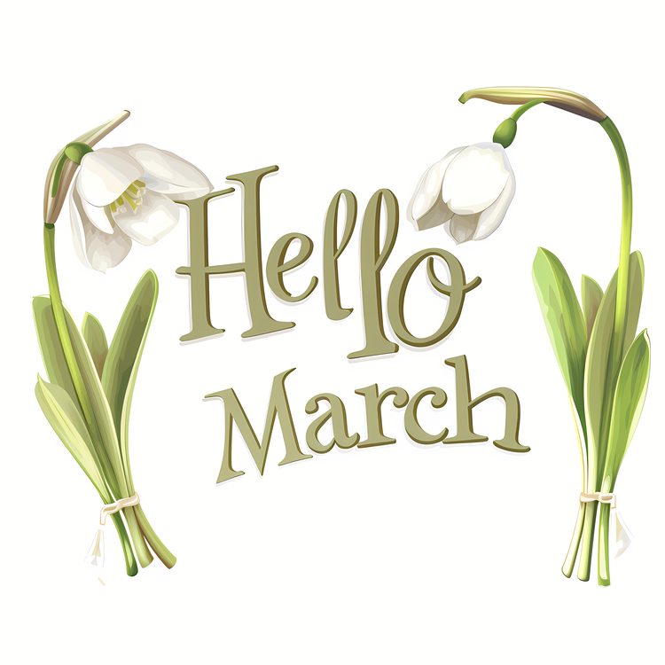 Hello March,White Flower,Spring