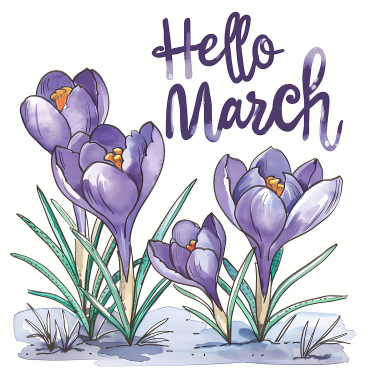 Hello March,Spring Flowers,Crocuses