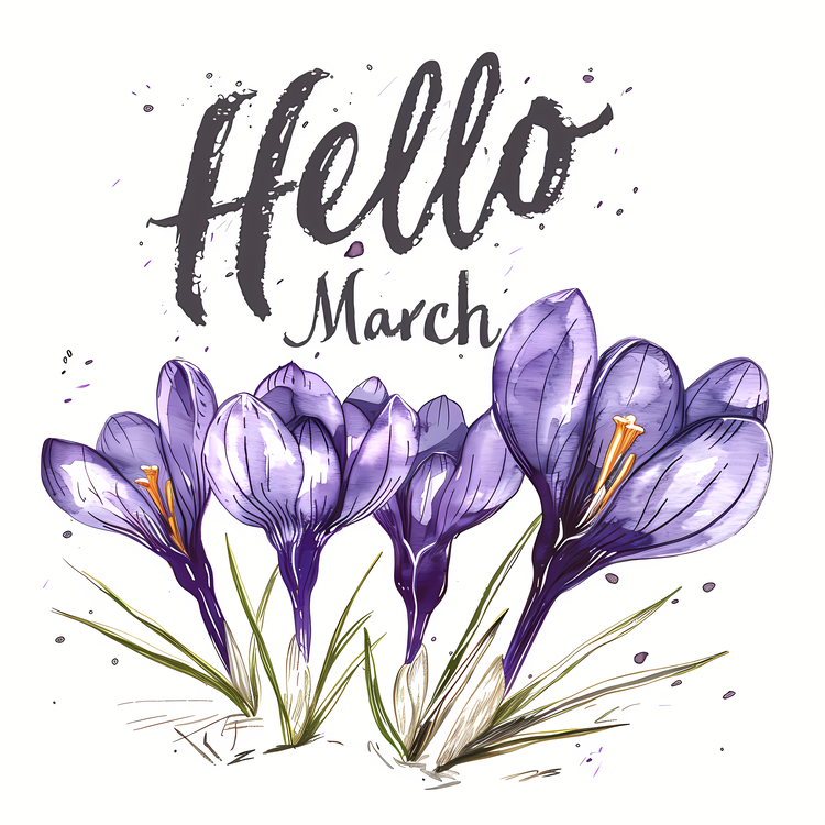 Hello March,Spring Flowers,Purple Crocuses