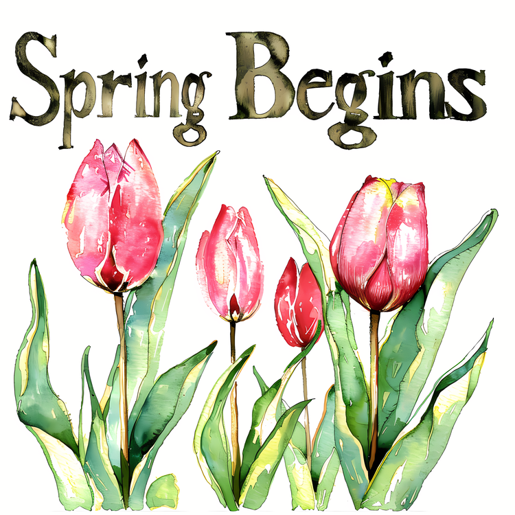 Spring Begins,Spring,Tulips