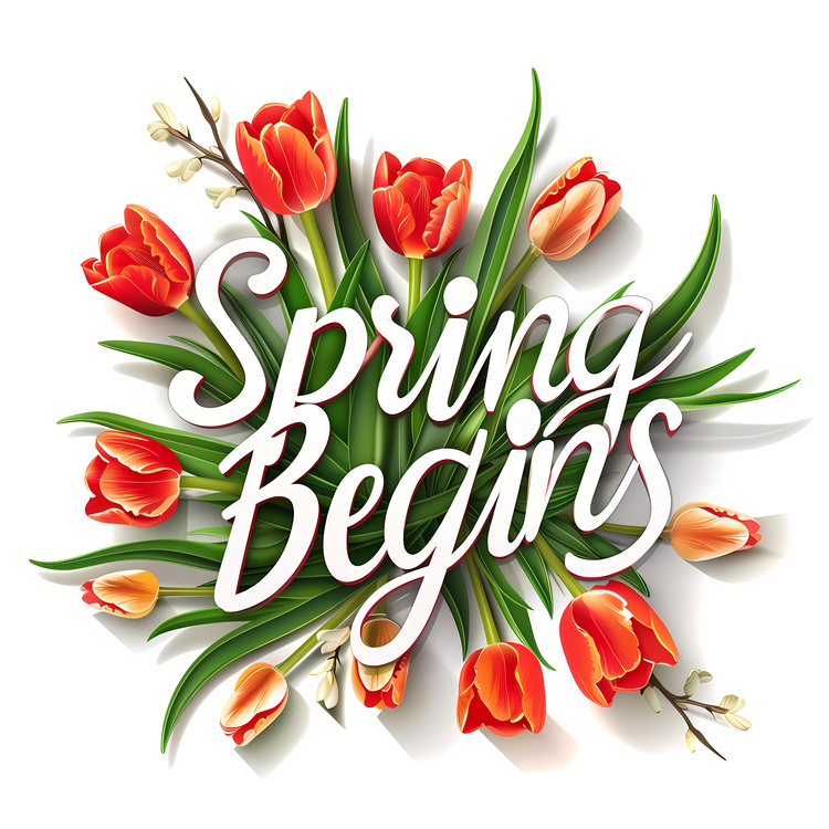 Spring Begins,Spring Flowers,Tulips