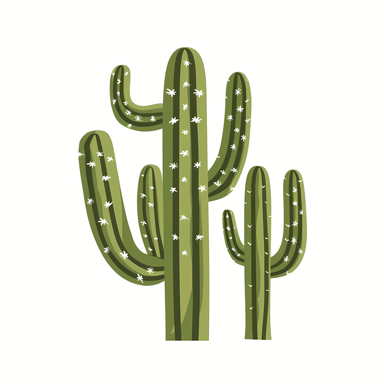 Mexican Cacti,Cactus,Prickly