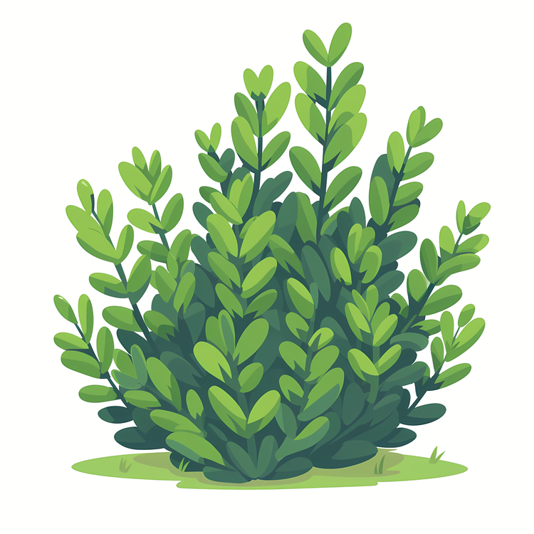 Shrub,Green Plant,Grassy