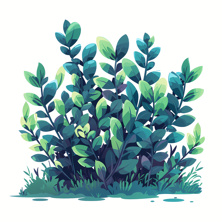 Shrub,Plant,Greenery