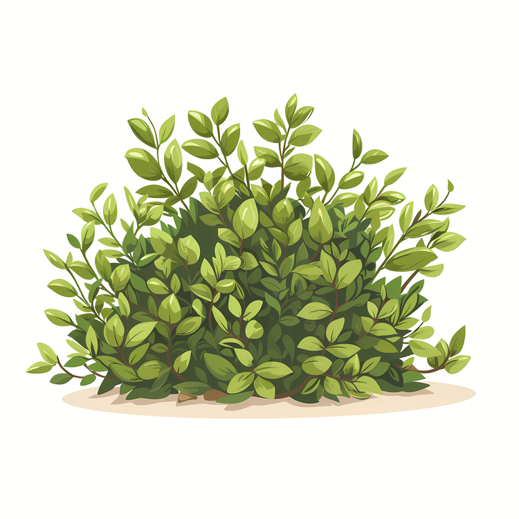 Shrub,Green Plants,Bush